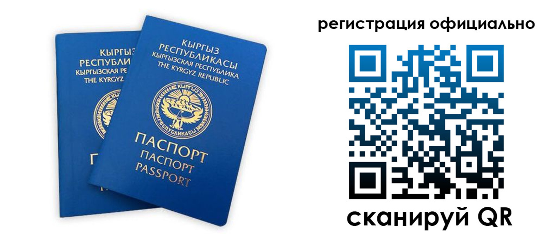 прописка поиск в Новоалександровске